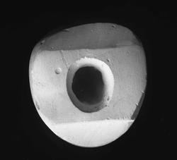 Tandlæge Christiansen et Glad (?)