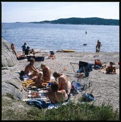 Hydrostranda, strandliv.