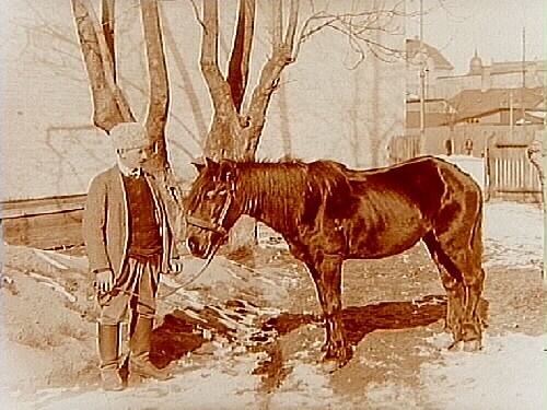 En man med gammal häst i Örebro.
Hemmansägare Karl Larsson, Skeppsta, Täby socken.