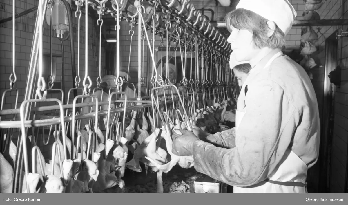 Jordbruksnummer, 12 mars 1969.

Överproduktion av broilers. Slakteri för fjäderfä.
