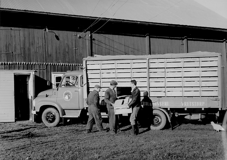 Stubbetorps Kontrollhönseri, lastning, en lastbil och tre män.