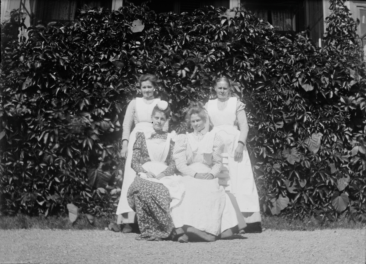 Fire kvinner, alle med hvite forklær, er oppstillt for fotografering foran en vegg med klatreplanter.