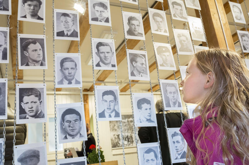 En jente ser på bilder i utstilling (Foto/Photo)