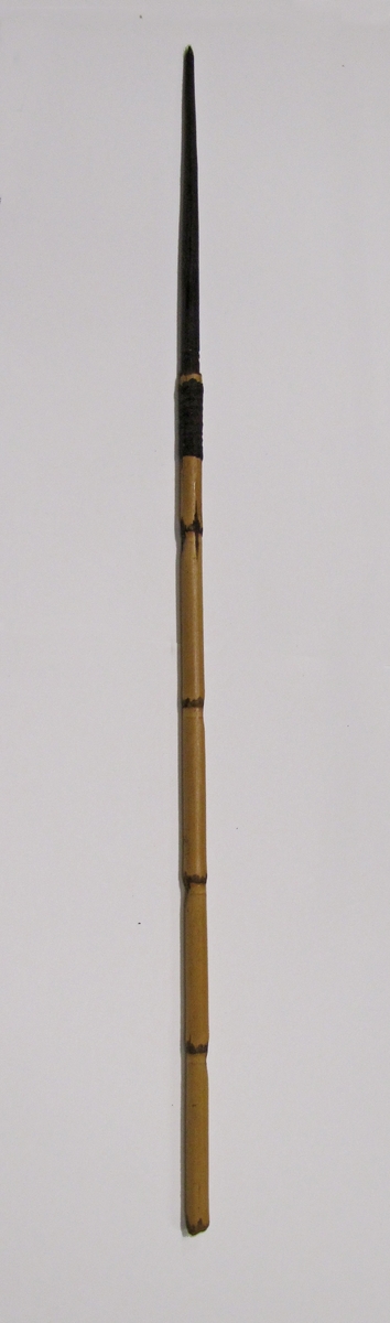En av tre defekta pilar med träspets. Längd: 97 cm. Söderhavet.

Föremålet tillhör den etnografiska samlingen.