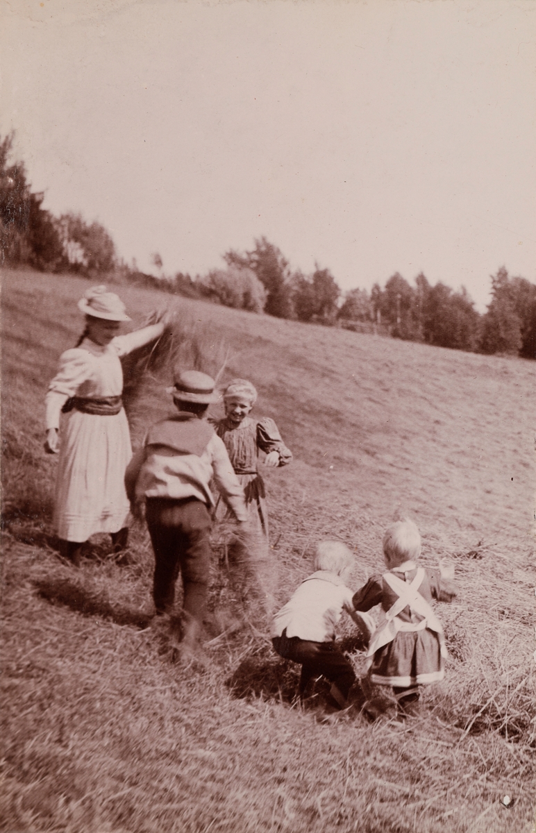 Fem barn leker i nyslått gress.