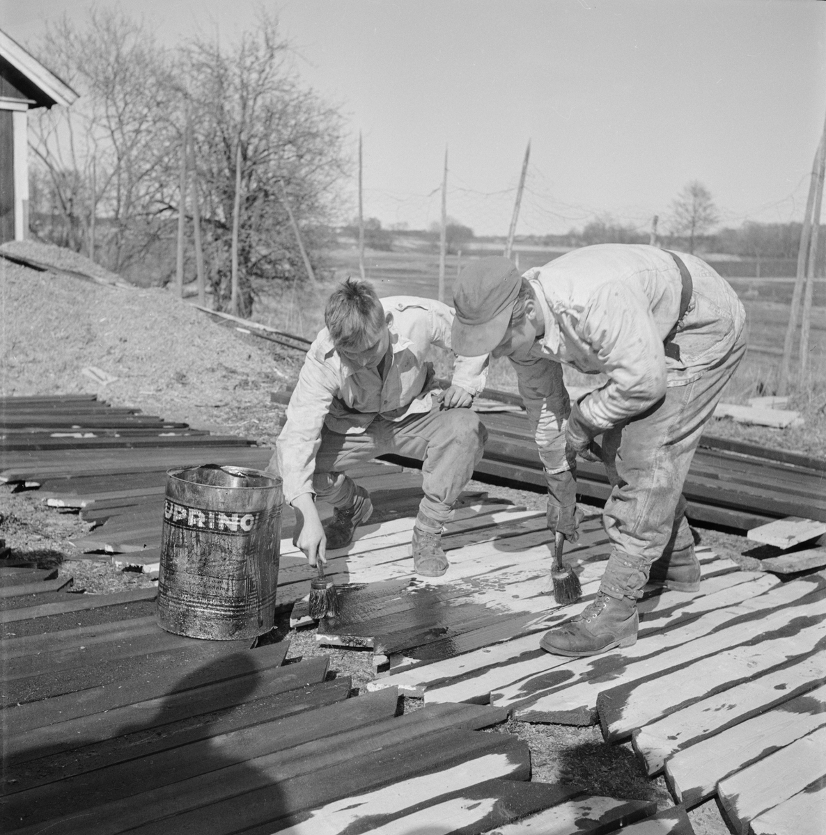 Militärt brobygge vid Fyrisvallen, Uppsala, maj 1954