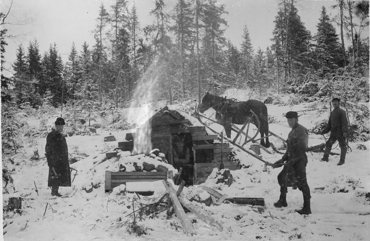 Bollsta bruk. Skogsarbete. - Tekniska museet / DigitaltMuseum