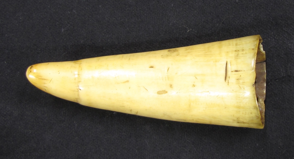 Smörjehorn som består av ett horn med två hål i kanten. Skall enligt folktron tillhört en trollpacka.