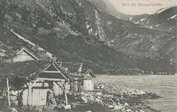 Parti fra Geirangerfjorden.