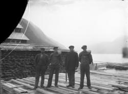 Fotosamling etter Hans Tveito. "Plankebærere på Lårdal sagbr