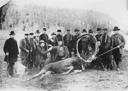 Elgjakt i Bunesskogen. Stående fra venstre ser vi Spjutvik, 