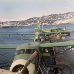 Sjøflyhavna i Bodø. Tre fly av typen DHC-3 Otter fra Widerøe