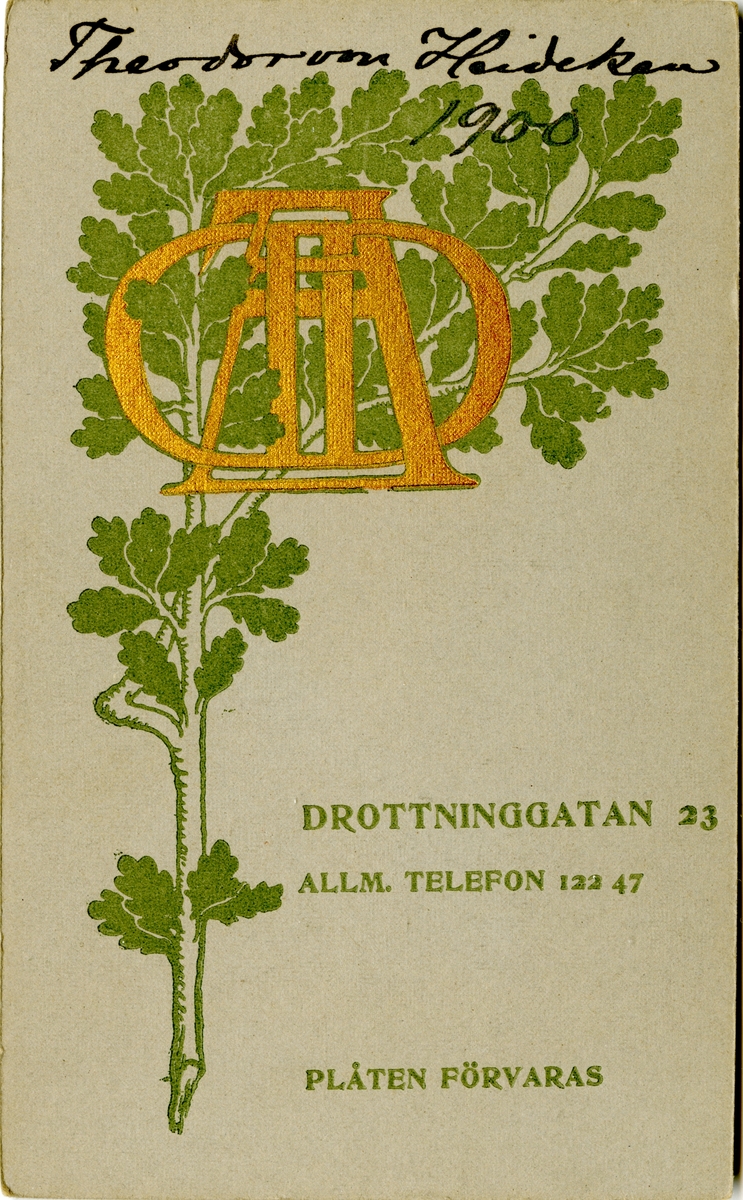 Porträtt av Carl Fredrik Theodor von Heideken, löjtnant vid Norrlands artilleriregemente A 4.