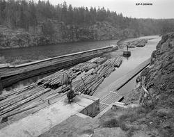 Tømmer i og ovenfor innløpskanalen til Brekke sluser i tidli
