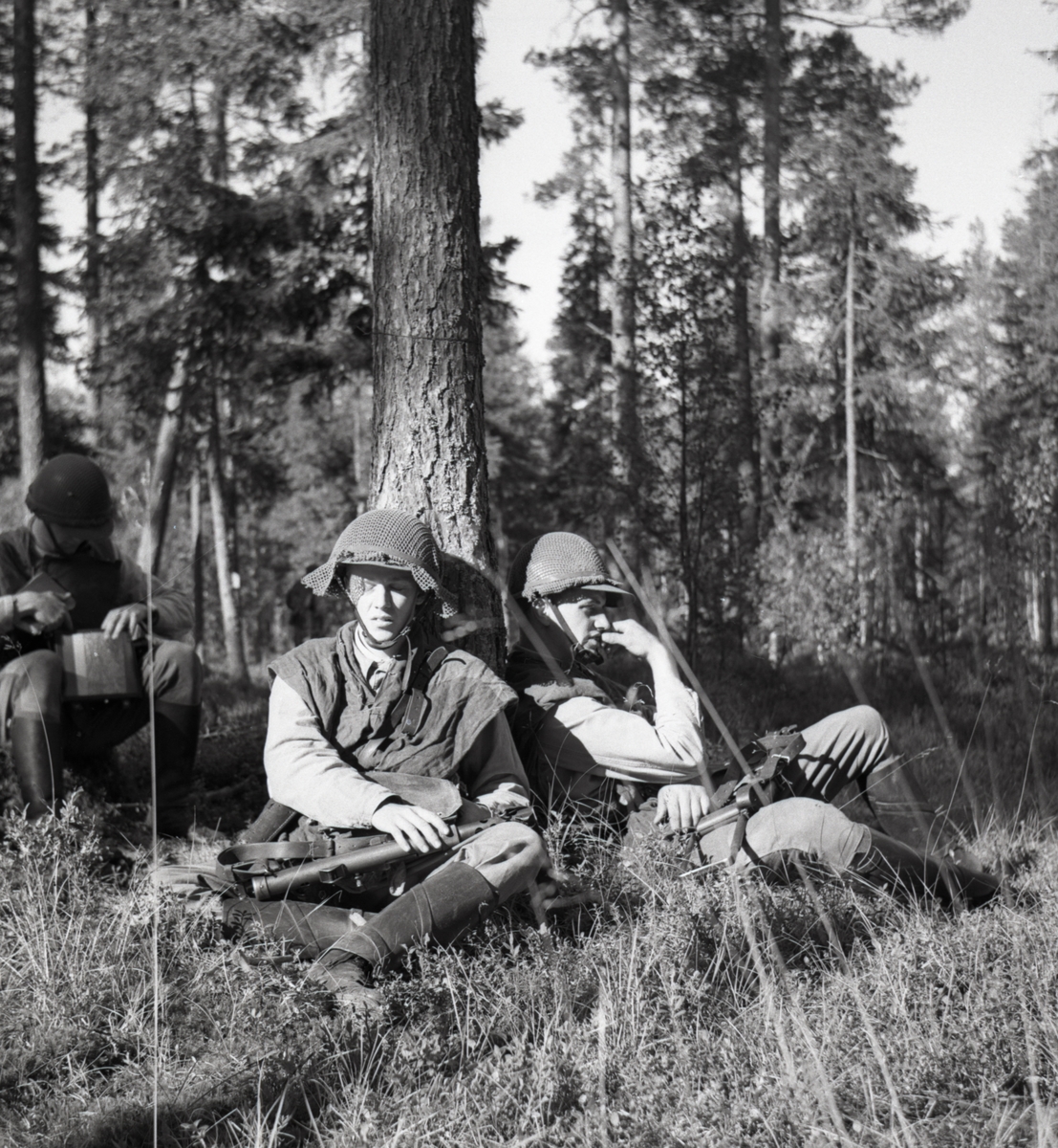 Rast i skogen. Norrlands dragonregemente K4, Umeå, 1955-1956.
