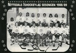 Ishockeygruppa Nittedal IL