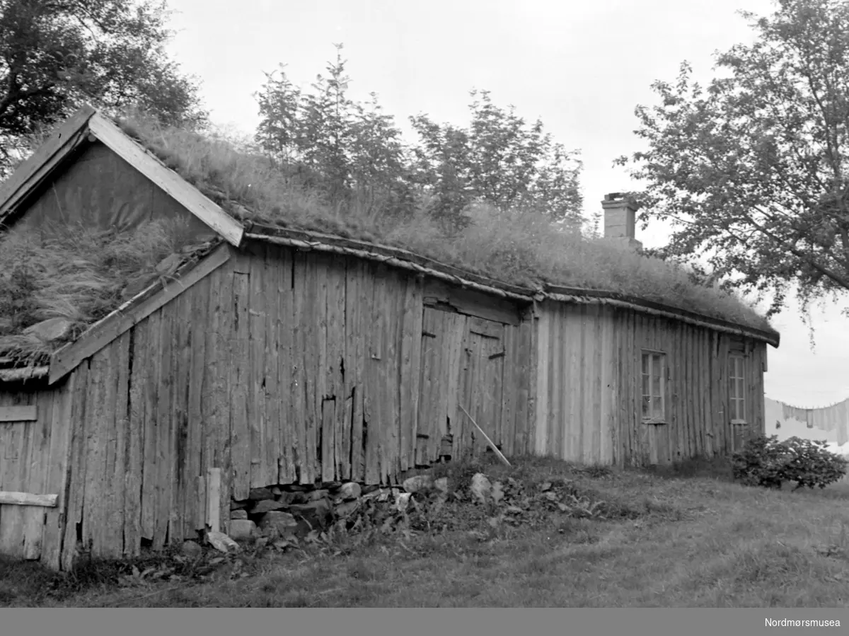 "Hola-Knutstua", gårdshus på Silset - med låve, fjøs og uthus under samme torvtak. Se Yderstads notat bind 10 side 201. Fra Nordmøre Museums fotosamling.
