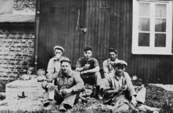 Fem karer tar matpause på arbeidsplassen. gardsarbeid?
Bilde