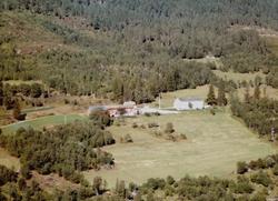 Flyfoto fra Venås på Tingvoll. Bildet er datert 30. juli 196