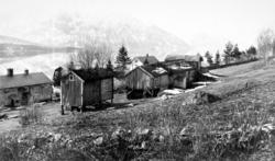 Eidsvåg i Nesset . Gårdstun med gamle hus, stabbur og fjøs. 