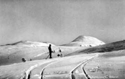 Serie. Ett av ti postkort fra en serie ved navn ";Sne over S