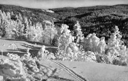 Serie. Ett av ti postkort fra en serie ved navn ";Sne over S