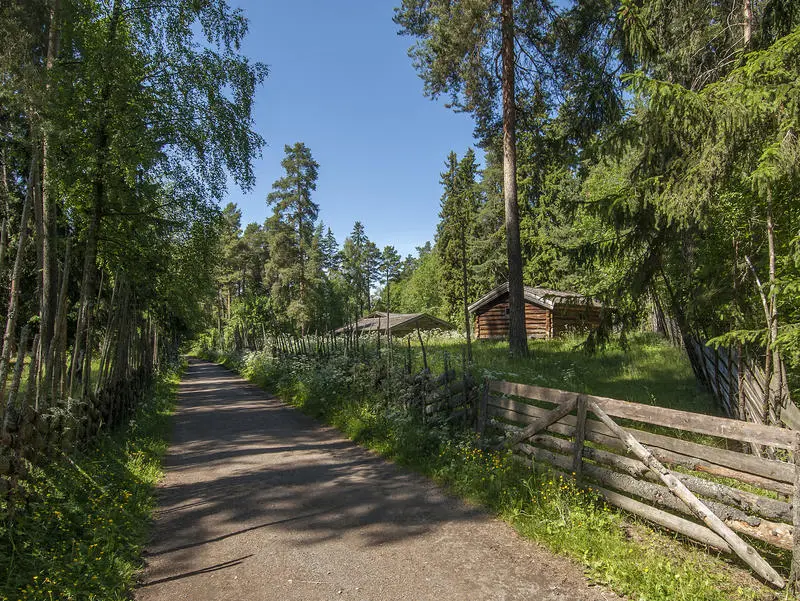 Grusveg med skog på begge sider og en liten setervoll med et par brune tømmerhus til høyre bak ei grind.