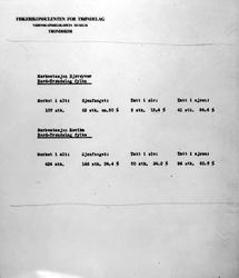 Merkestasjon Bjørøyvær og Hovika - Fiskerikonsulenten for Tr