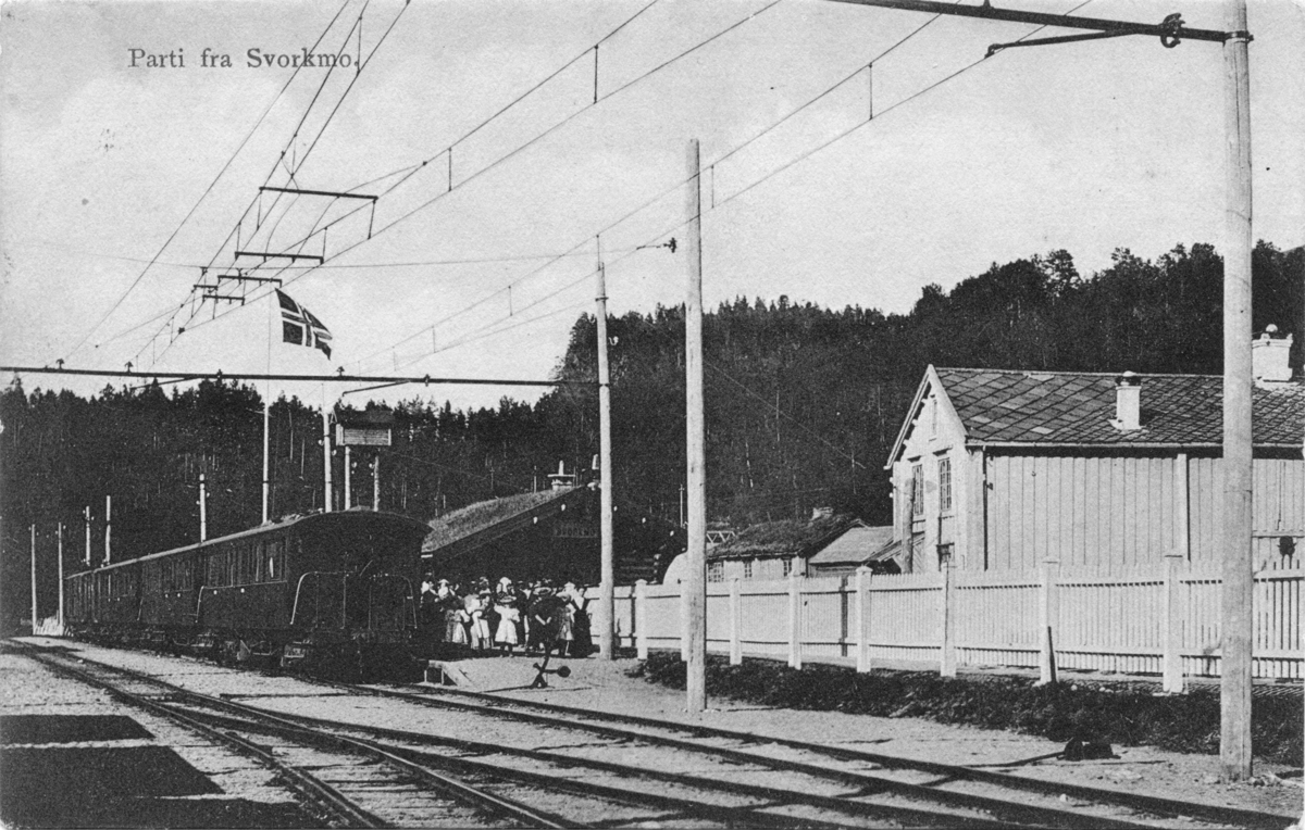 Tog og passasjerer på Svorkmo stasjon. Antagelig fra åpningsdagen 10.07.1908.
