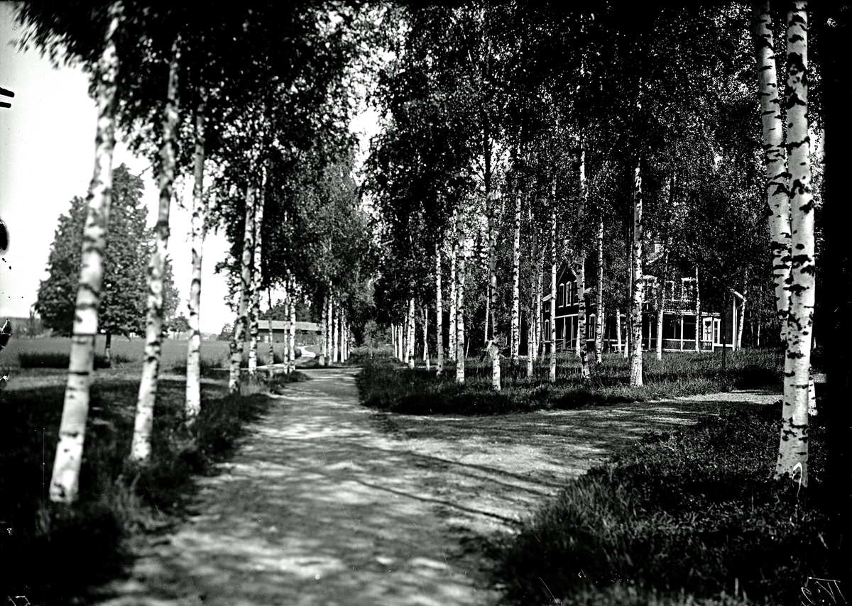 Johannisdal i juli år 1924.
Fotograf E Sörman.