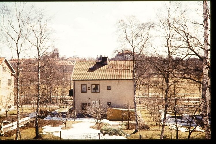 Hus på Ulriksdalsgatan på Väster i Växjö, sent 1950-tal. Spetsamossen och Ringsberg i bakgrunden.