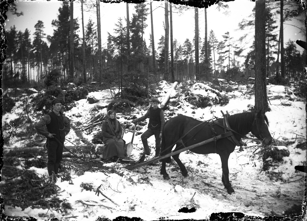 Gottfrid Granlund, Bergkvist med fru och hästen Prima i skogen.