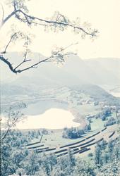 Botnvatnet, med hesjer i forgrunnen.