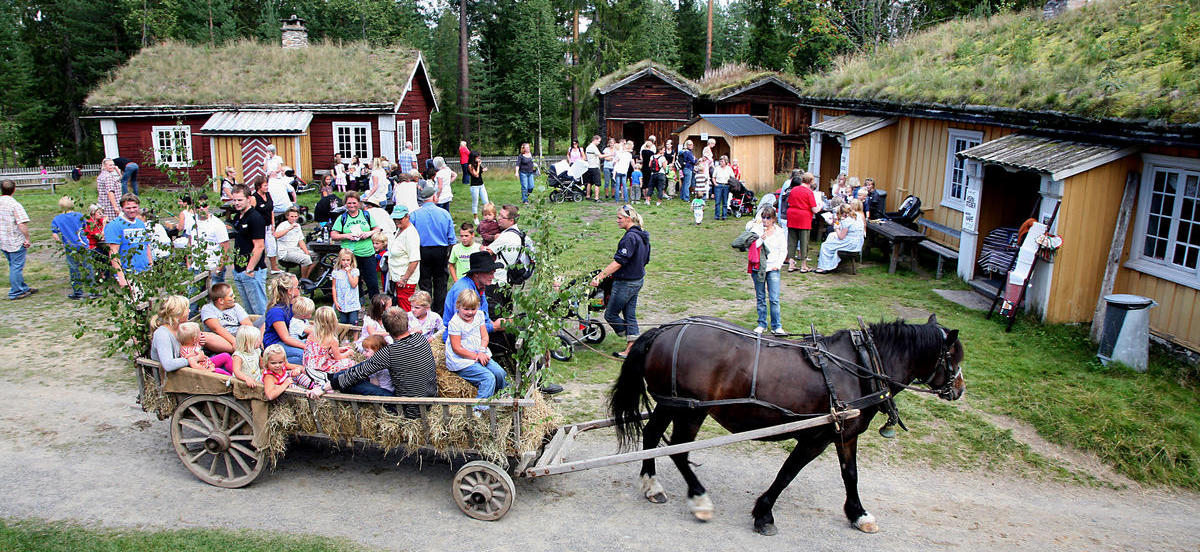 People on Elverumstunet, Glomdal museum during an arrangement. There is a horse in the foreground and several minutes in the background.