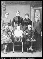 Ahne Nilsd. Halfarelien med barna sine. Amerika (fra Ringebu