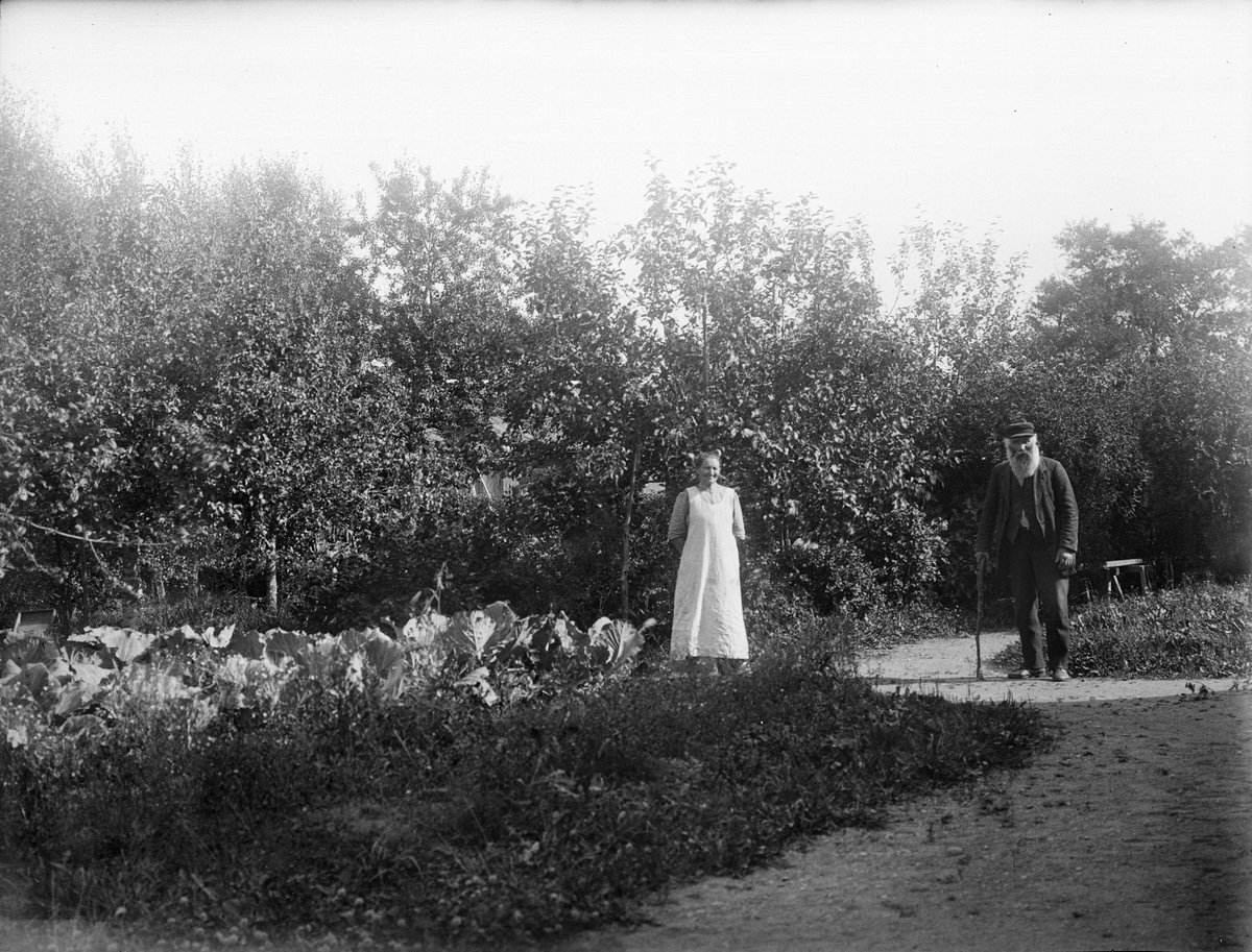 "Maria och J. A. Klang Ådalen står i trädgården", Altuna socken, Uppland 1921