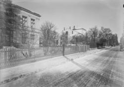 Enebolig for Janicke og Tias Eckhoff