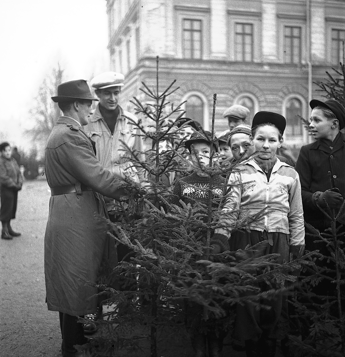 Julgransförsälning. December 1945