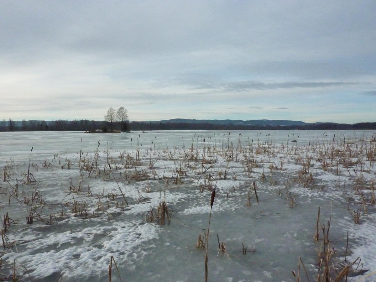 Foto av isbelagt vann i Monsrudvika