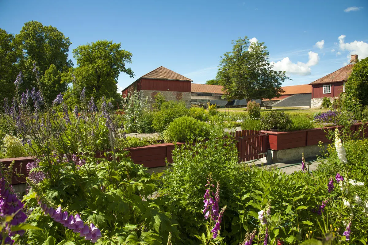 Urtehagen med blomsterkasser, frodige bed og hellelagte ganger i forkant, Storhamarlåven i rødt treverk med rød takstein i bakgrunnen.