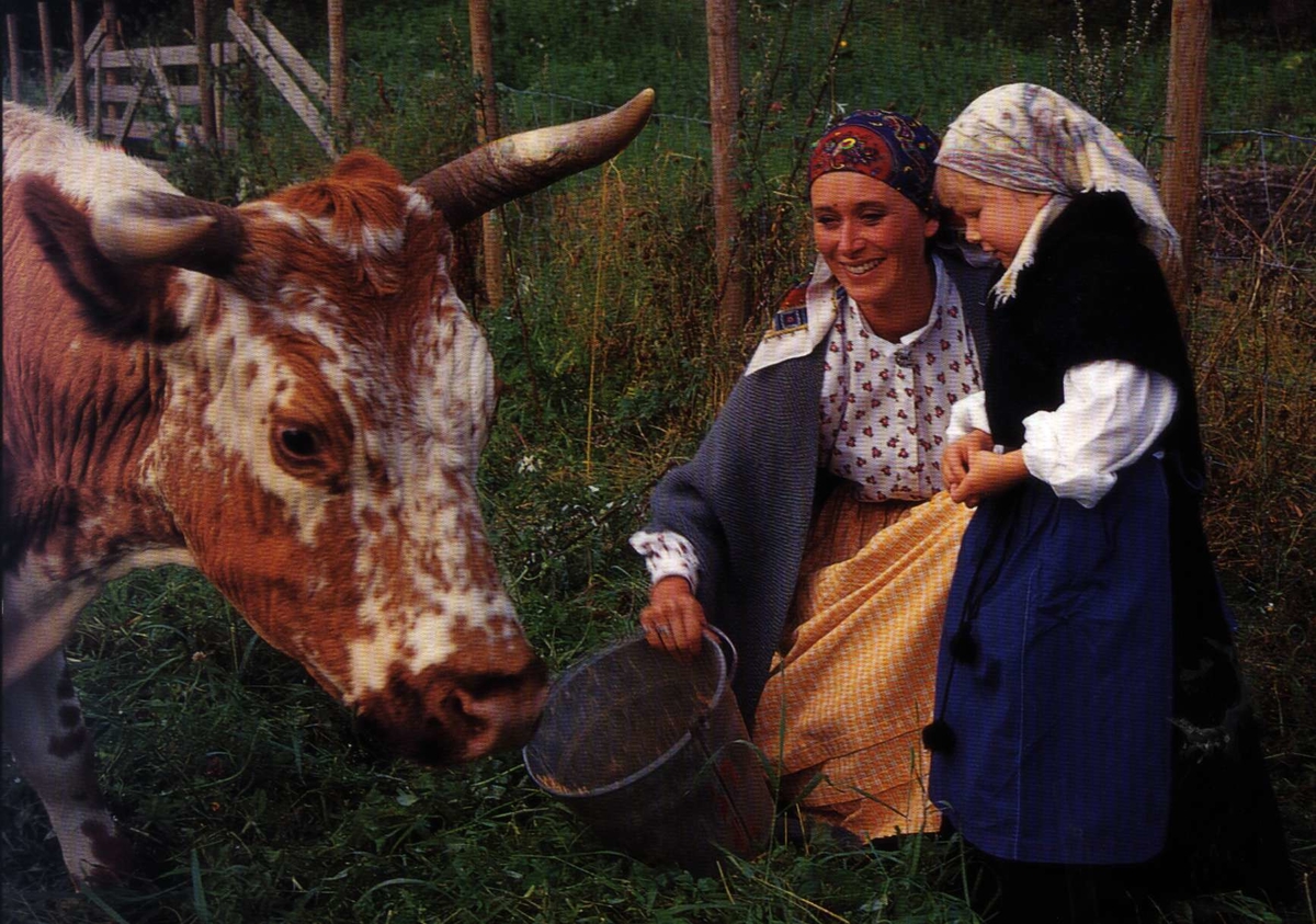 Postkort. Mor og datter i bunad fôrer kua.  NF.