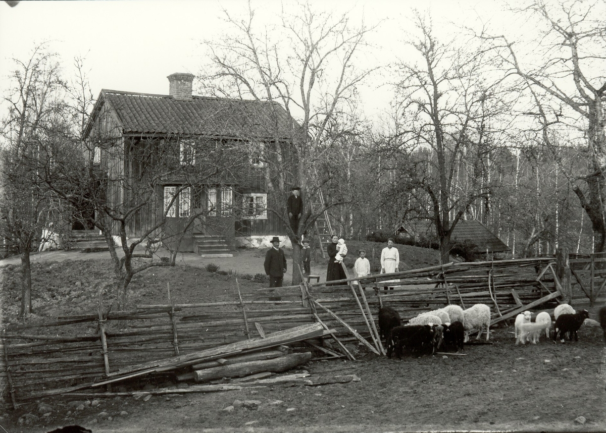 En familj i Kallernäs 1919.