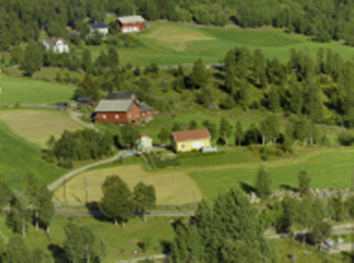 Skjerve, (samt Skjervesvea og Sørhagen) Østre Gausdal. I forgrunnen gult hus med rødt tak og ditto garasje, lys turkis bil med flere personer utenfor. Hage. Ovenfor rød driftsbygning med med brunt våningshus bak. Videre opp stor, hvit privatbolig og gård med rød og hvit driftsbygning med hvitt våningshus. Jorder og markant steingjerde nederst i bildet, skog øsverst. (Lund nr SS-WSF-159553)