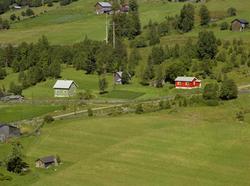 Ringen. Grønnmalt bolighus t.v., lita rød stue t.h. Litt dyr