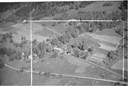 Solberg gård, trolig Nestinga Oppistugum, Hunder, 12.09.1952