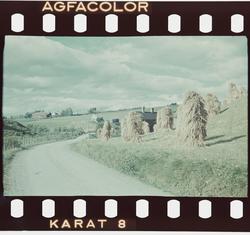 Landskap med kornstaur.