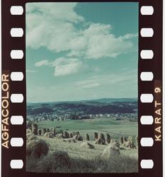 Kornstaur i kulturlandskapet, utsikt fra Geite.