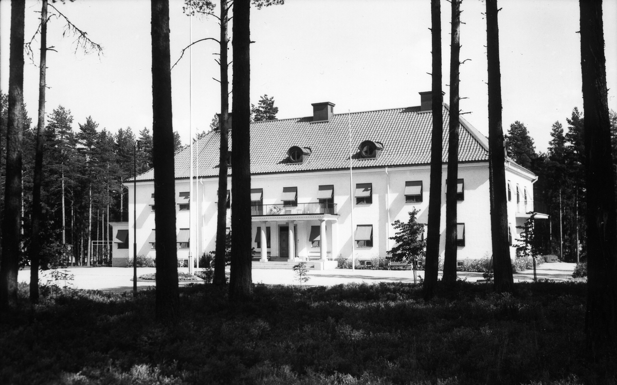 Skogstomt och disponentvilla i Sandviken. Foto 1937.