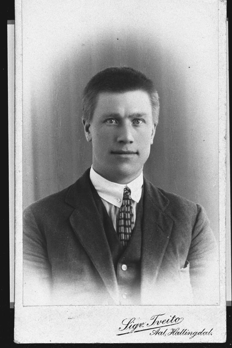 Portrett,jakke,slips og skjorte.
Olav Haugo