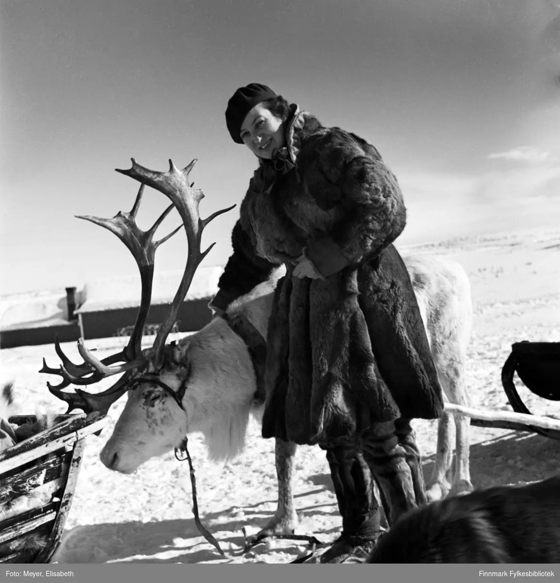 Fotografen Elisabeth Meyer i Kautokeino, 1939 eller 1940. Poserer med kjørerein. Meyer har på seg samisk pesk og skaller, men har beholdt alpeluen på hodet.